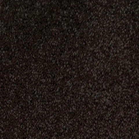 Wrought Iron carpet swatch